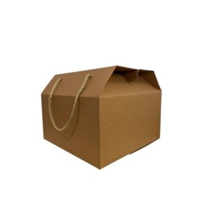 Caixa Box Alca Papel Chale 500 Unid